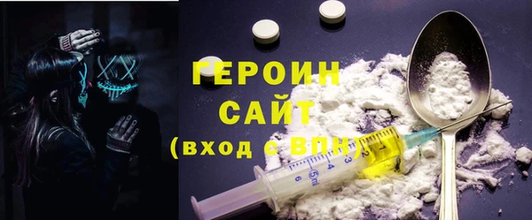 индика Надым