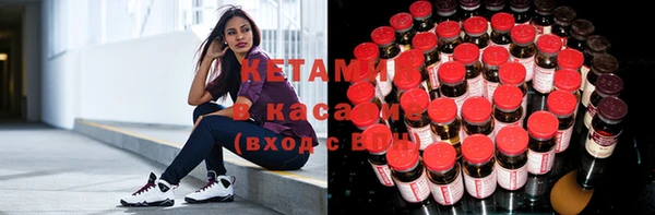 шишки Аркадак