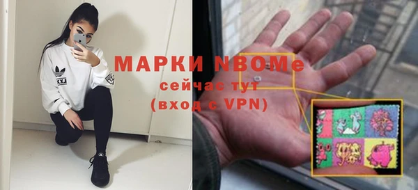 индика Надым
