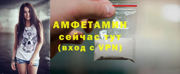 индика Надым