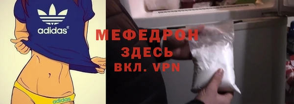 индика Надым