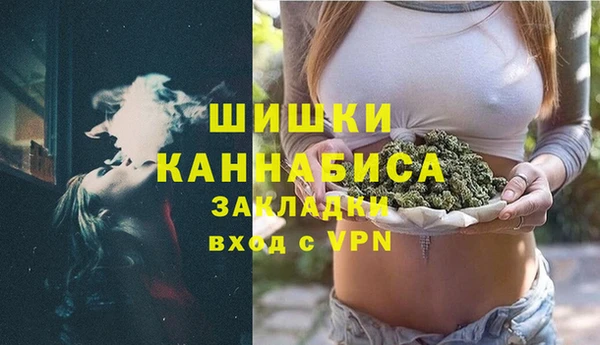 индика Надым