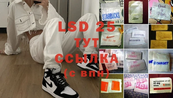 индика Надым