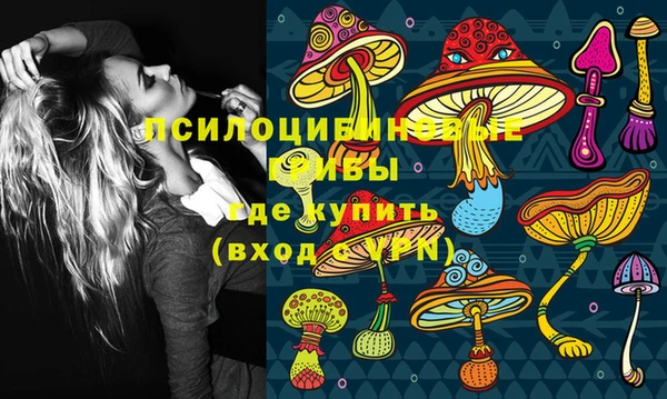 хмурый Михайловка