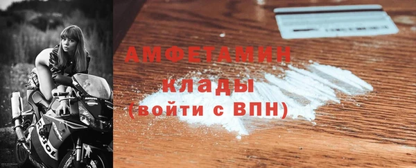 индика Надым
