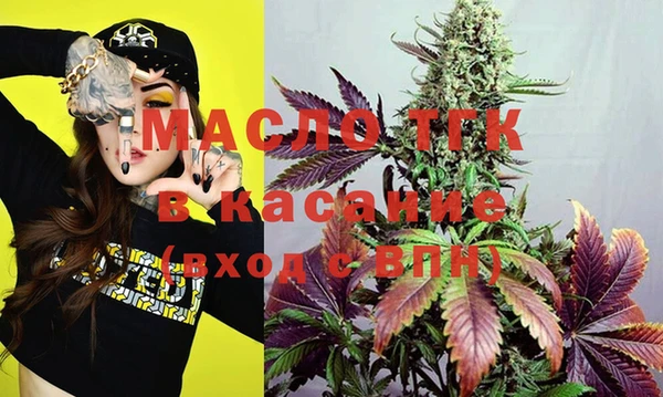 индика Надым