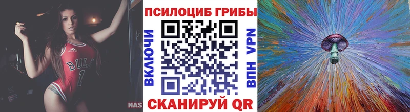 что такое   MEGA рабочий сайт  Галлюциногенные грибы Psilocybine cubensis  Лодейное Поле 